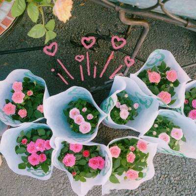 F1赛车超级方程赛